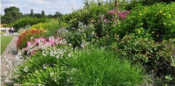 MixedbordersrhsgardenWisley